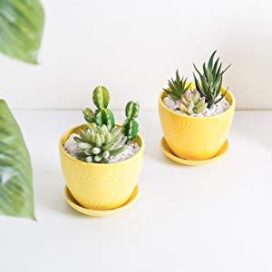 Office Organizers & Desktop Caddies